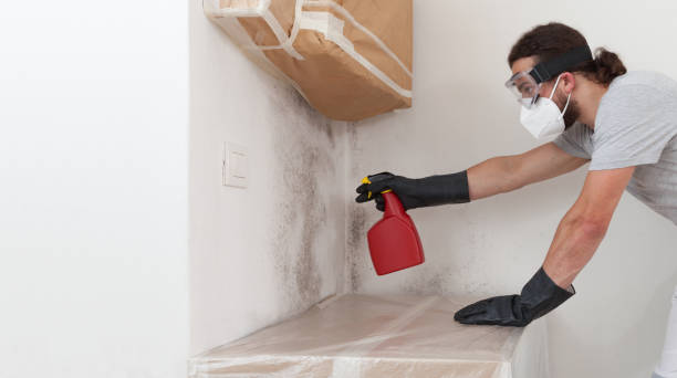 Professional Bathroom Mold Removal technician working in Shady Side, MD